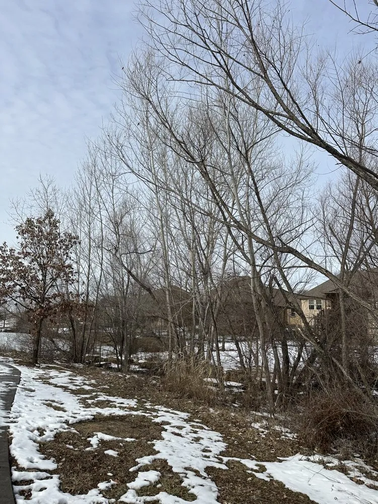 Affordable landscape design near you across Leavenworth, KS - G Tree Trim And Removal