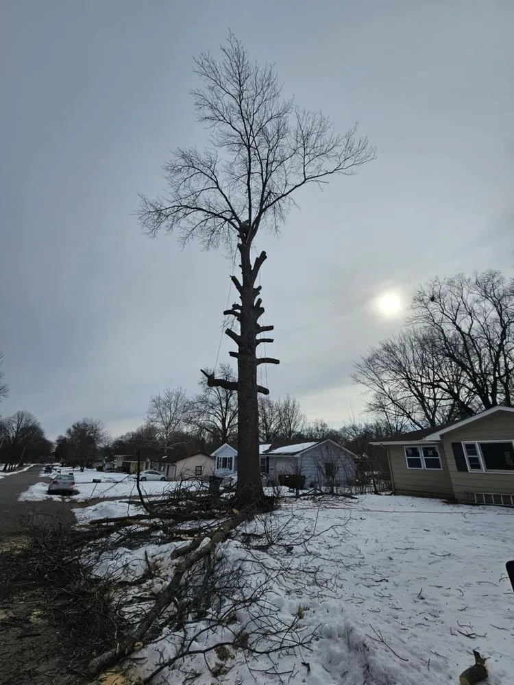 Local lawn care service experts serving Leavenworth, KS - G Tree Trim And Removal