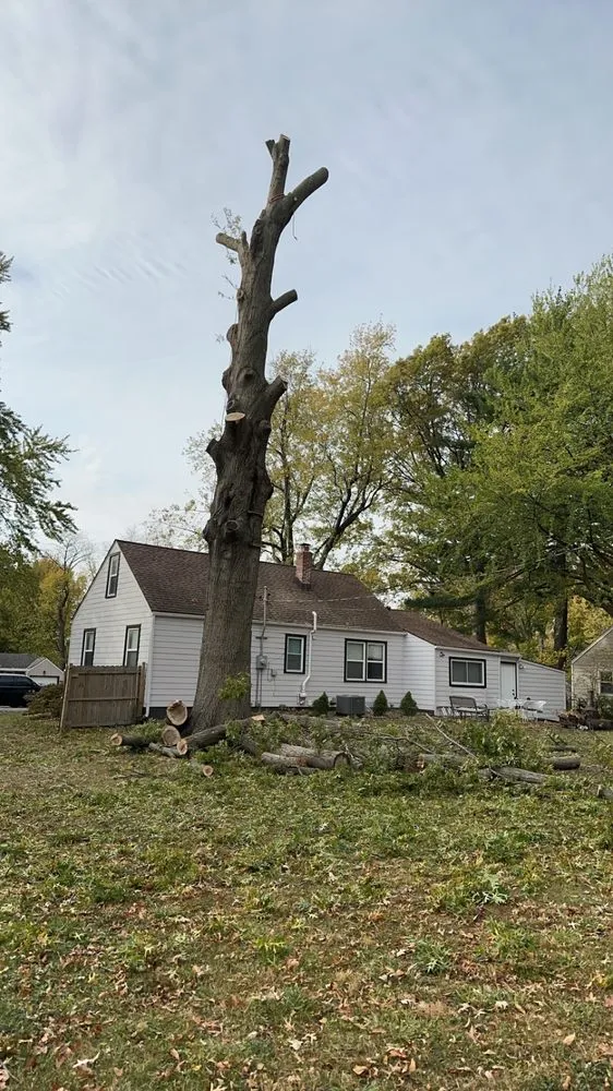 Custom residential landscaping in Leavenworth, KS by G Tree Trim And Removal