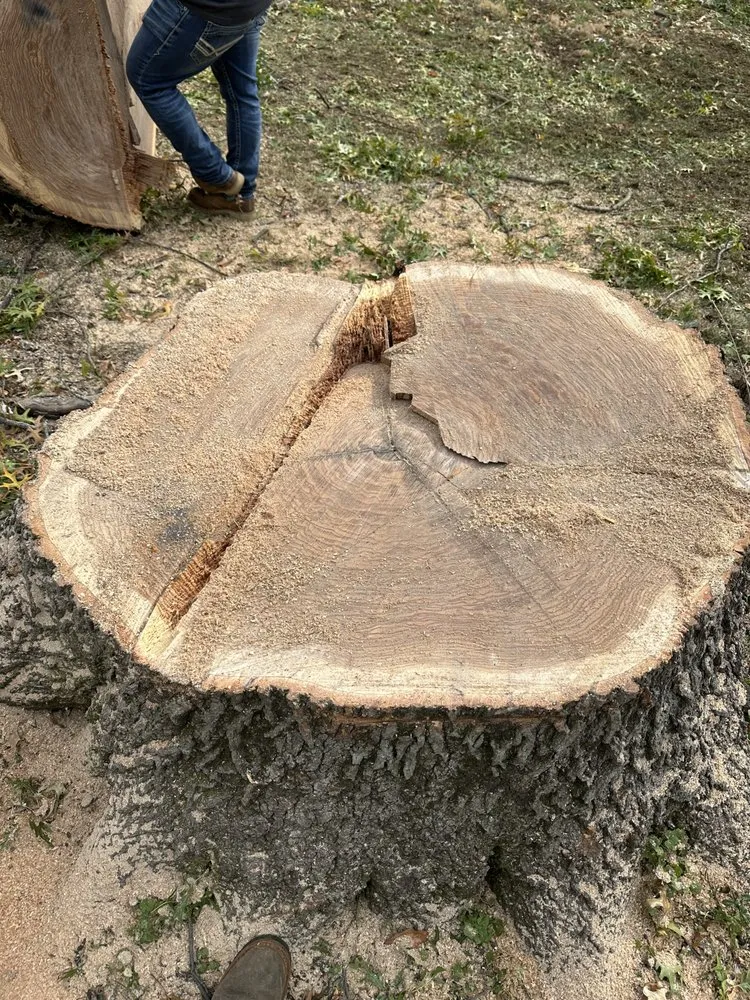 Reliable landscape installation in Leavenworth, KS by G Tree Trim And Removal