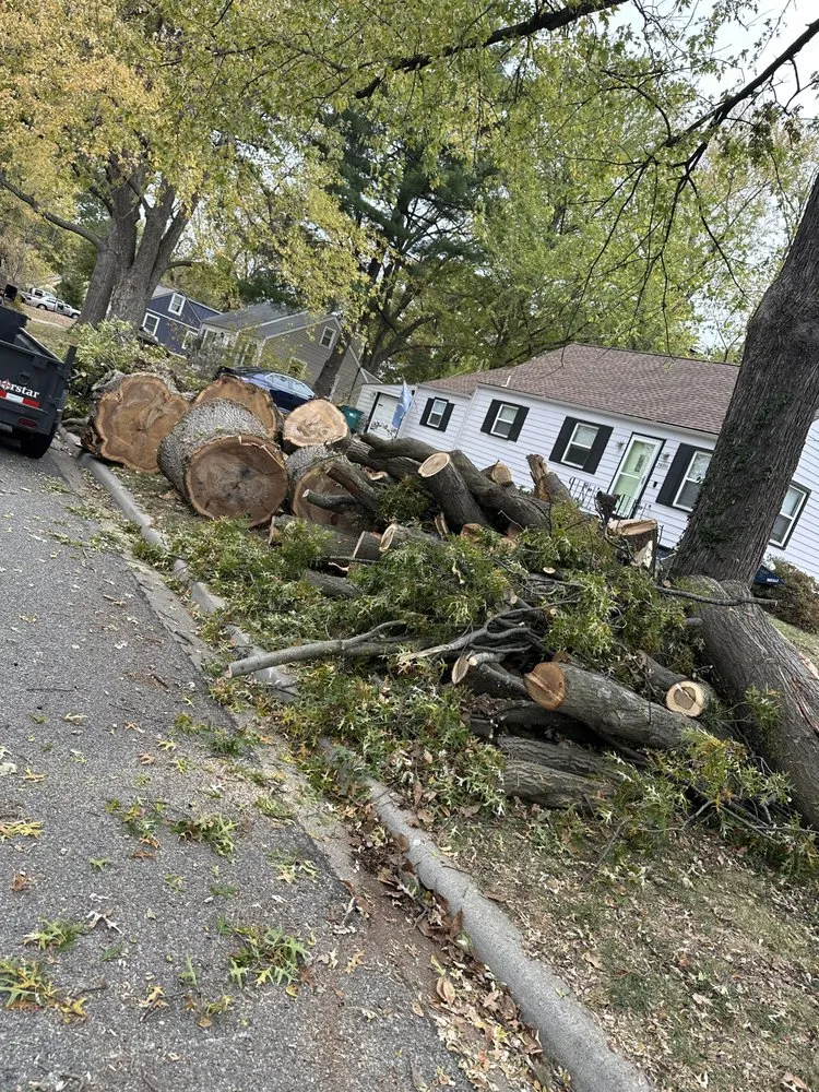 Professional yard cleanup service in Leavenworth, KS by G Tree Trim And Removal