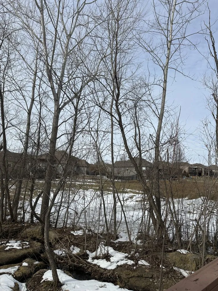 Expert residential landscaping with custom design across Leavenworth, KS - G Tree Trim And Removal