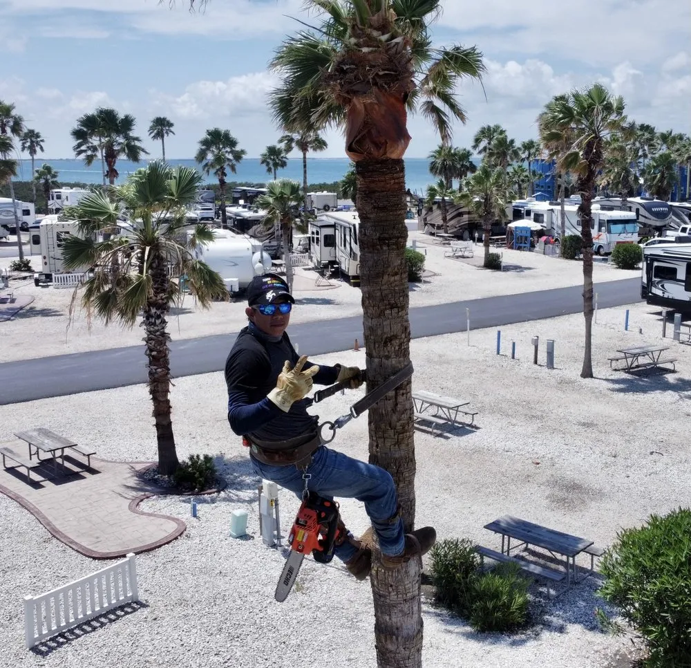 Top-rated residential landscaping for homes in Harlingen, TX by G-Uprooted