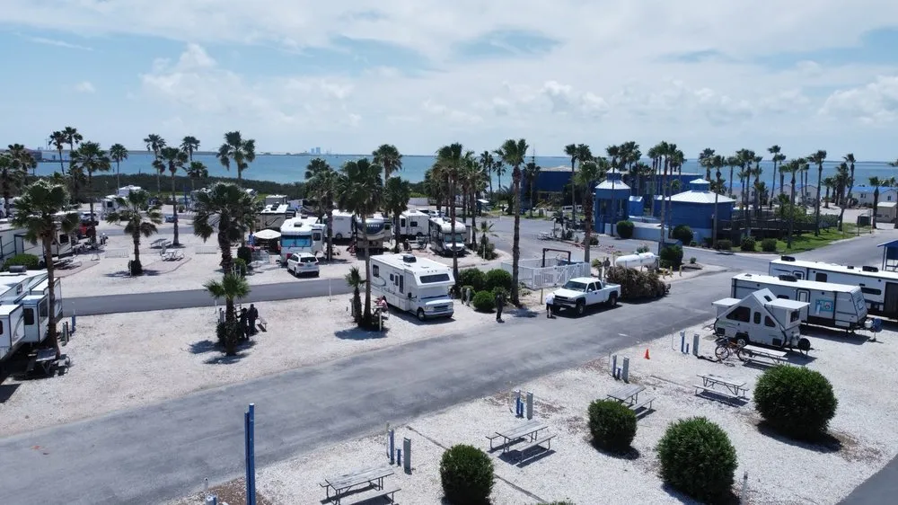 Affordable yard cleanup service experts serving Harlingen, TX - G-Uprooted