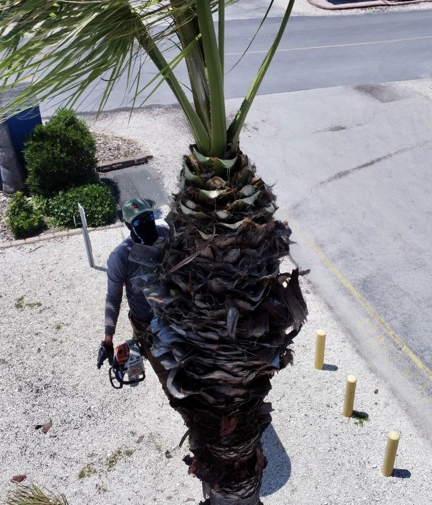 Custom yard maintenance in Harlingen, TX by G-Uprooted