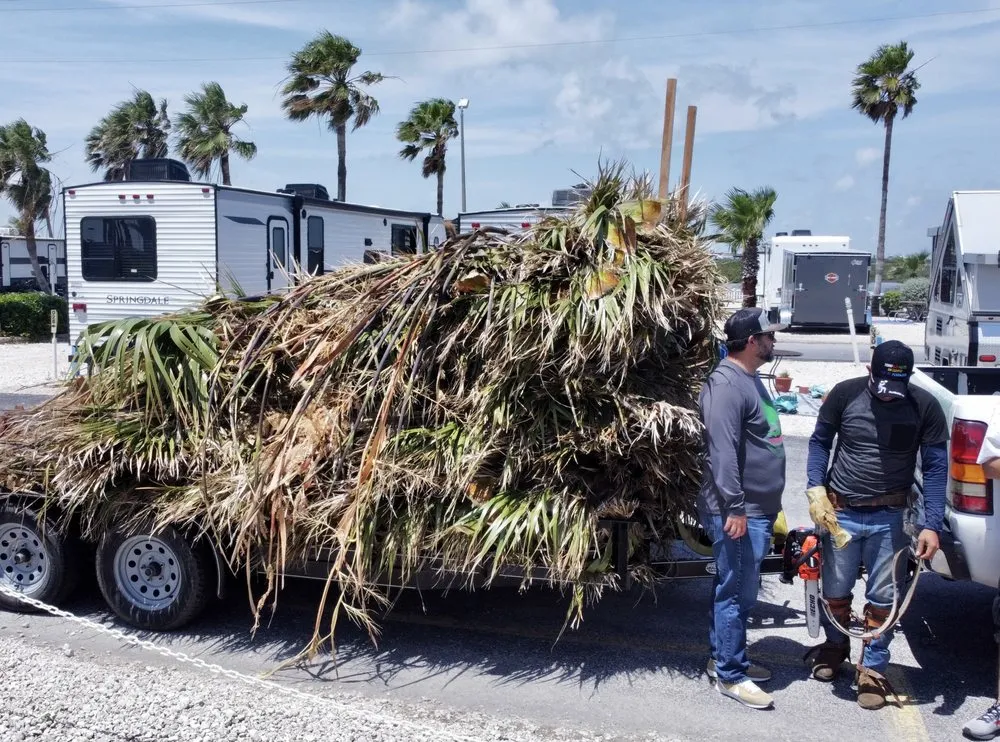 Affordable landscape installation in Harlingen, TX by G-Uprooted