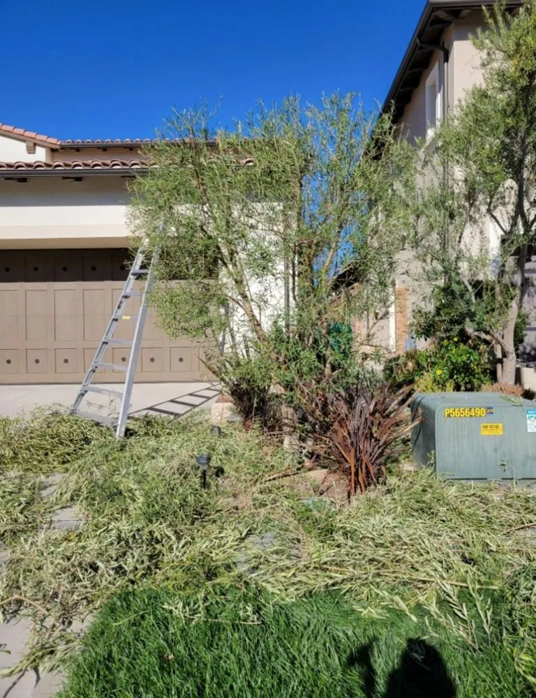 Custom yard maintenance in Tracy, CA by G Valley Landscape
