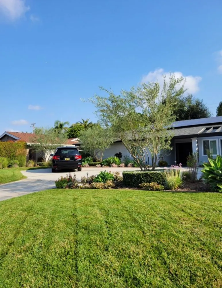 Top-rated residential landscaping near you in Tracy, CA by G Valley Landscape