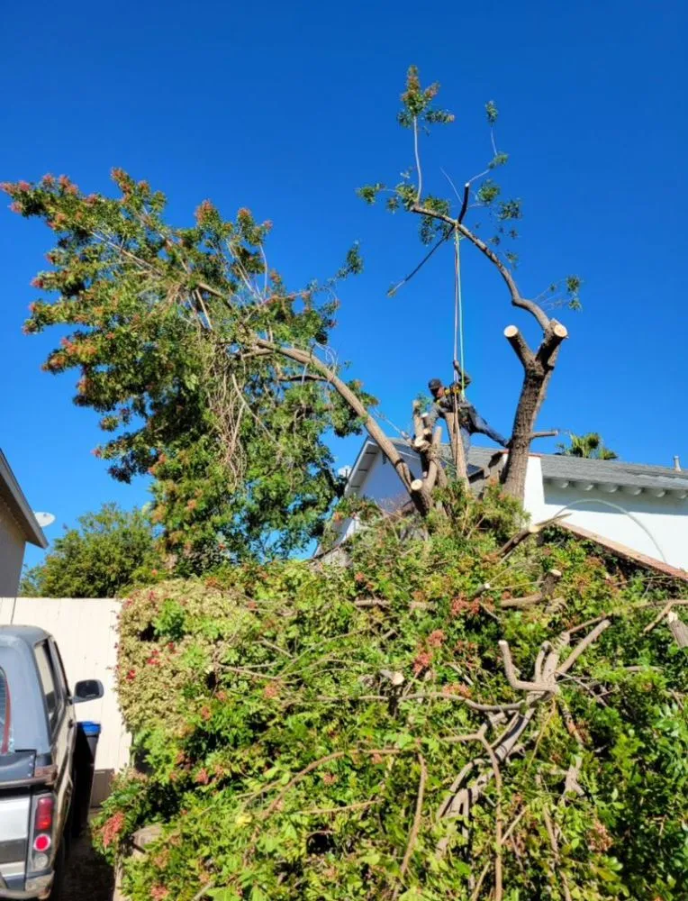 Local lawn mowing service experts serving Tracy, CA - G Valley Landscape