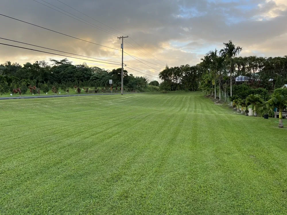 Reliable lawn mowing service in Keaau, HI by G W Lawn Services