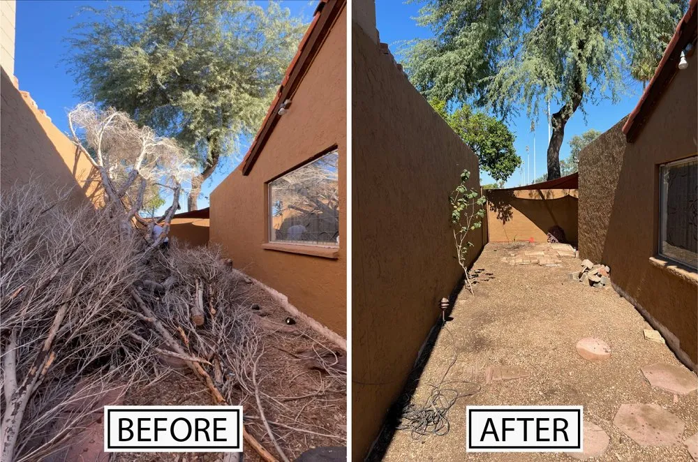 Professional landscape installation for residential properties in Phoenix, AZ by G1 Landscaping