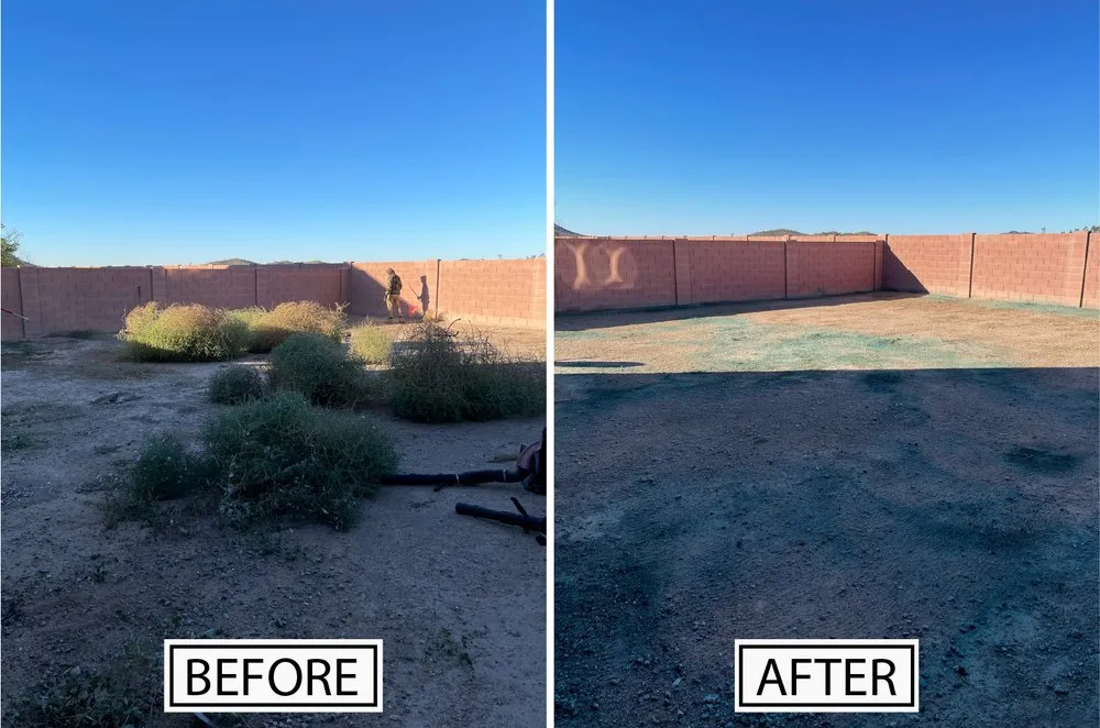 Expert landscape installation with custom design across Phoenix, AZ - G1 Landscaping