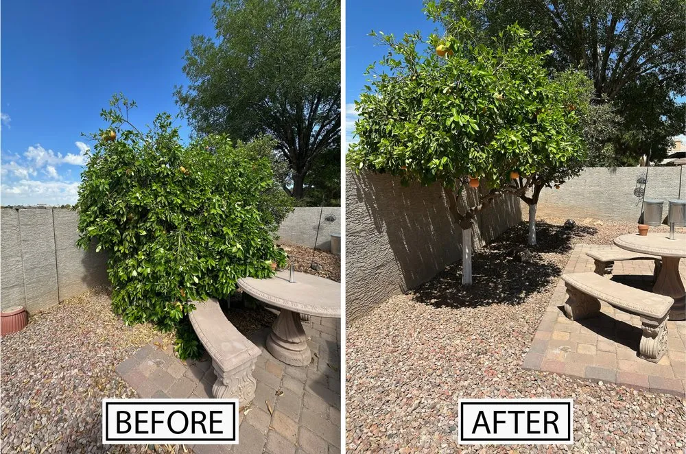 Custom lawn mowing service in Phoenix, AZ - G1 Landscaping