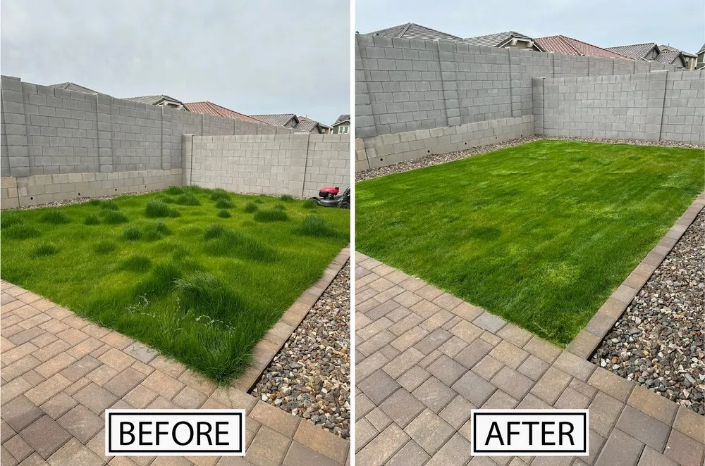 Expert outdoor landscaping in Phoenix, AZ by G1 Landscaping