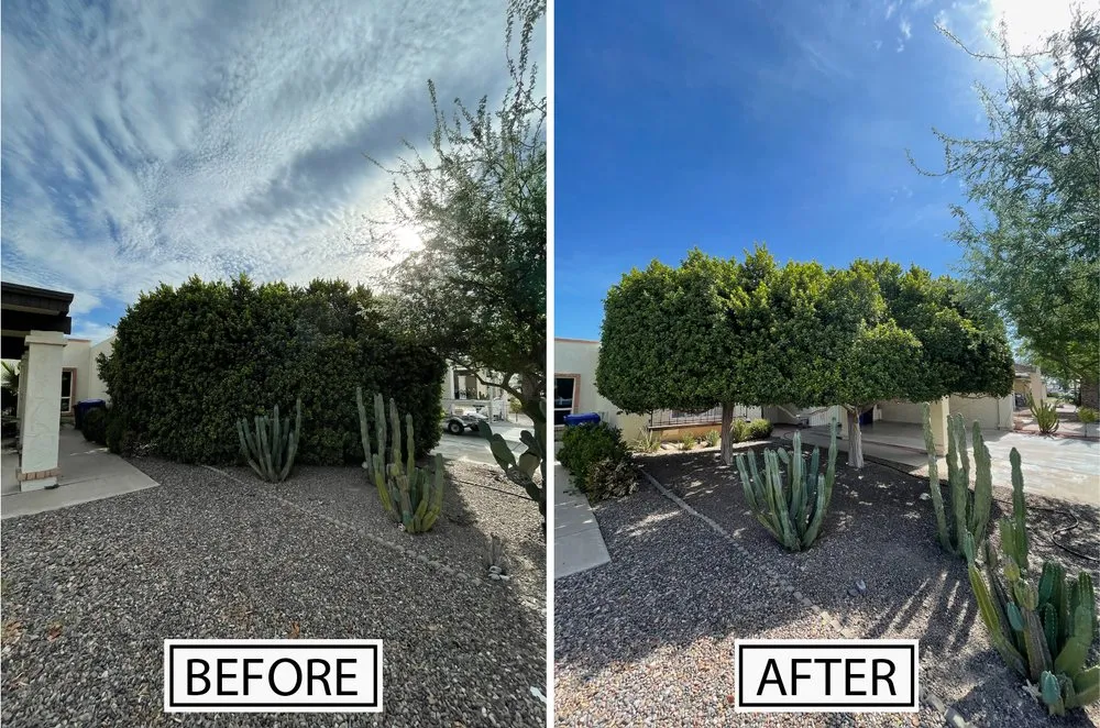 Custom lawn care service in Phoenix, AZ - G1 Landscaping