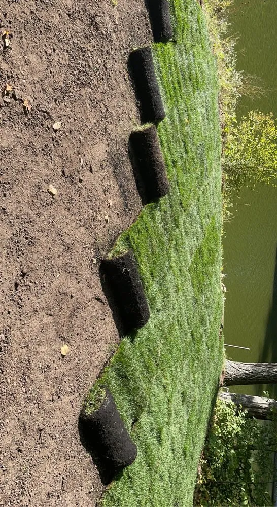 Expert landscape design for outdoor upgrades across Endeavor, WI - G2 Landscape
