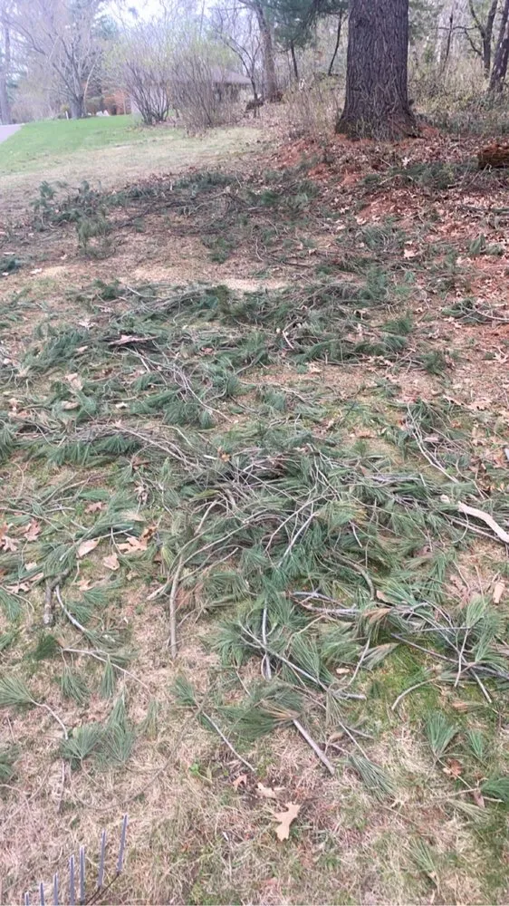 Expert yard cleanup service experts serving Endeavor, WI - G2 Landscape