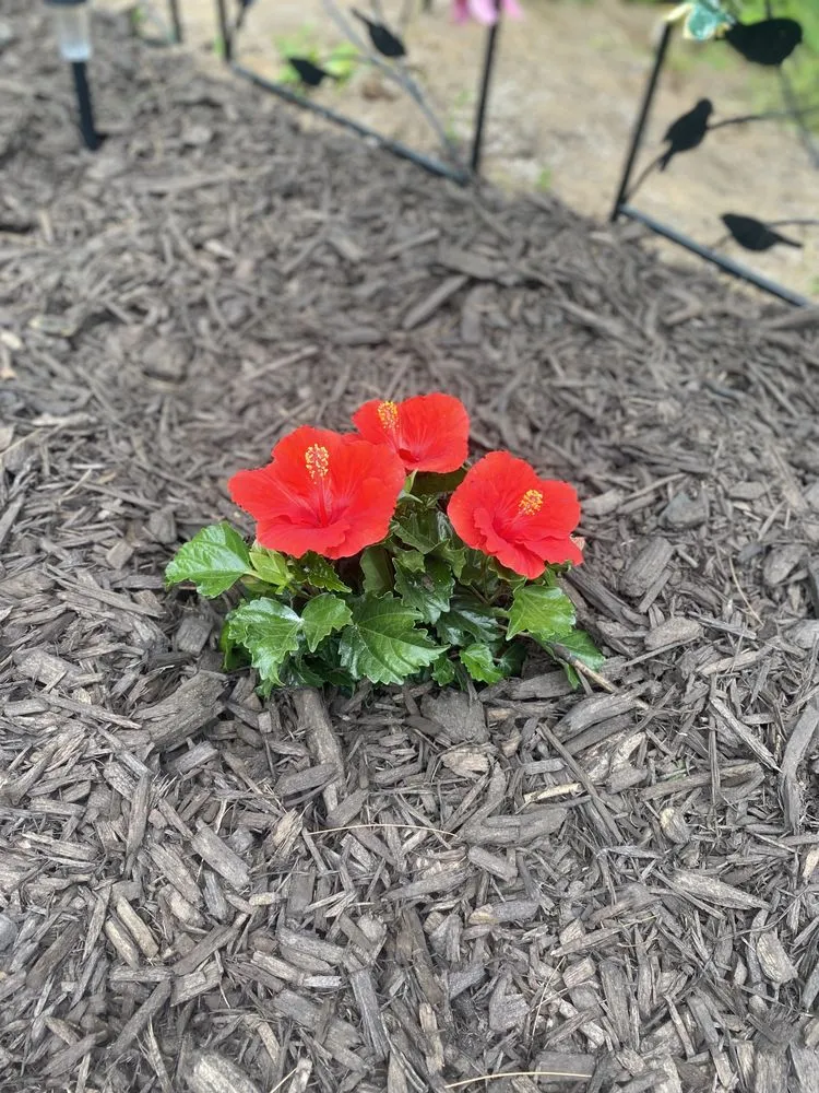 Professional outdoor landscaping for outdoor upgrades in Endeavor, WI by G2 Landscape
