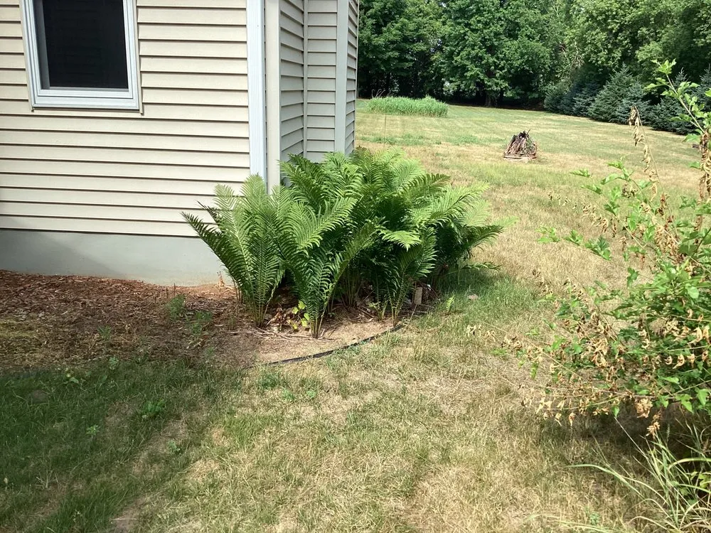Top-rated residential landscaping for residential properties across Endeavor, WI - G2 Landscape