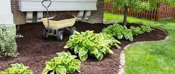 Trusted lawn mowing service in Dover, FL - G2 Services