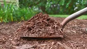 Reliable landscape design experts serving Dover, FL - G2 Services