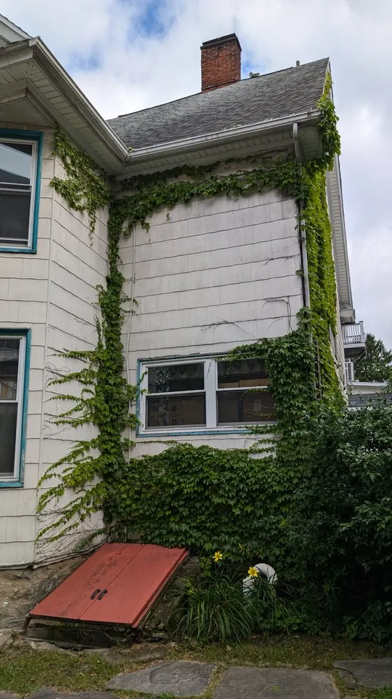 Professional yard maintenance experts serving Pittston, PA - G2K Property Solutions