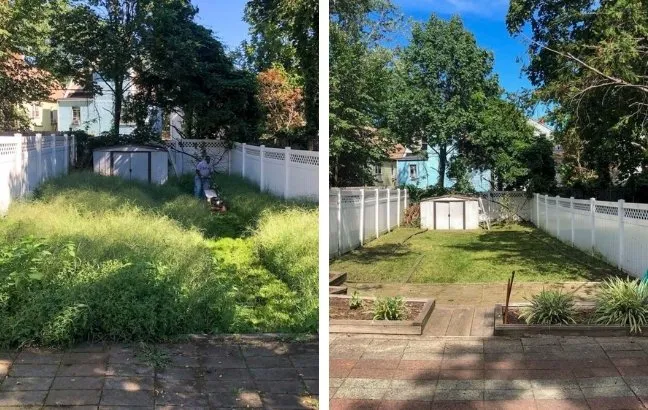 Local yard cleanup service for year-round maintenance in Newark, NJ by G3 Homescaping
