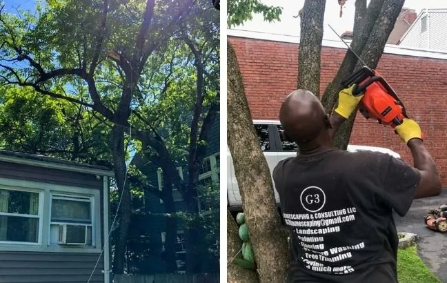 Expert landscaping services in Newark, NJ - G3 Homescaping