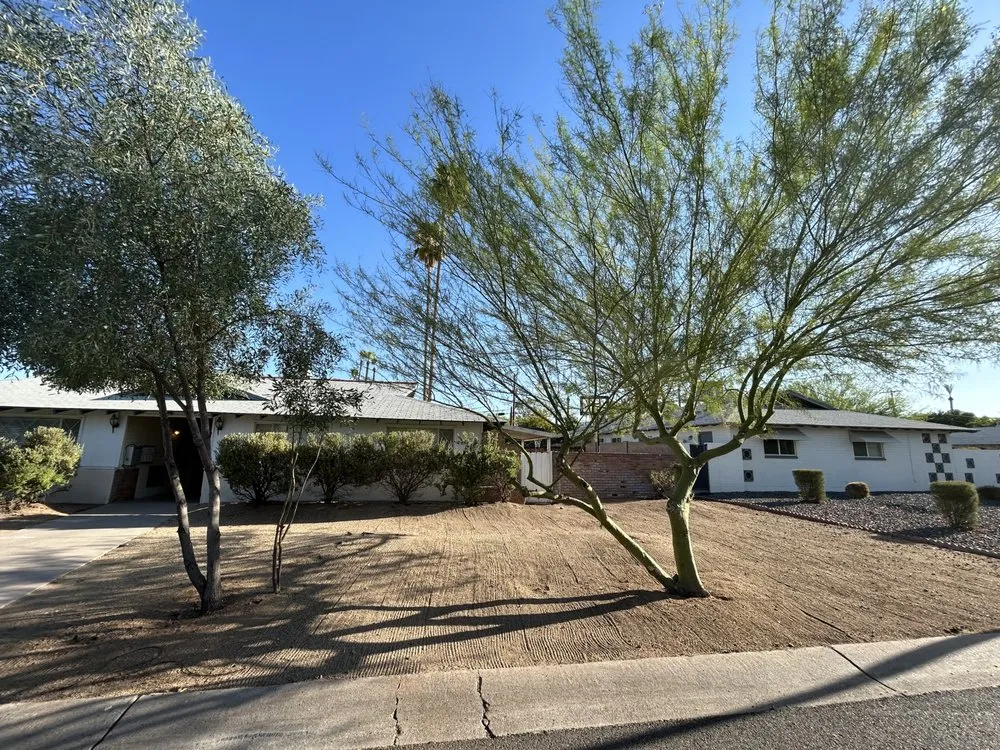 Local landscape design in Avondale, AZ by G3 Landscaping