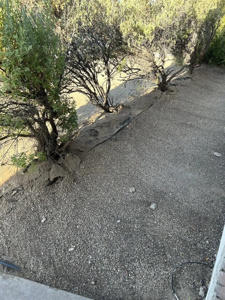 Professional lawn mowing service in Avondale, AZ - G3 Landscaping