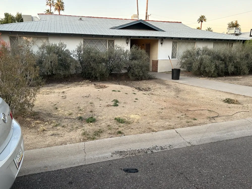 Affordable lawn mowing service in Avondale, AZ by G3 Landscaping