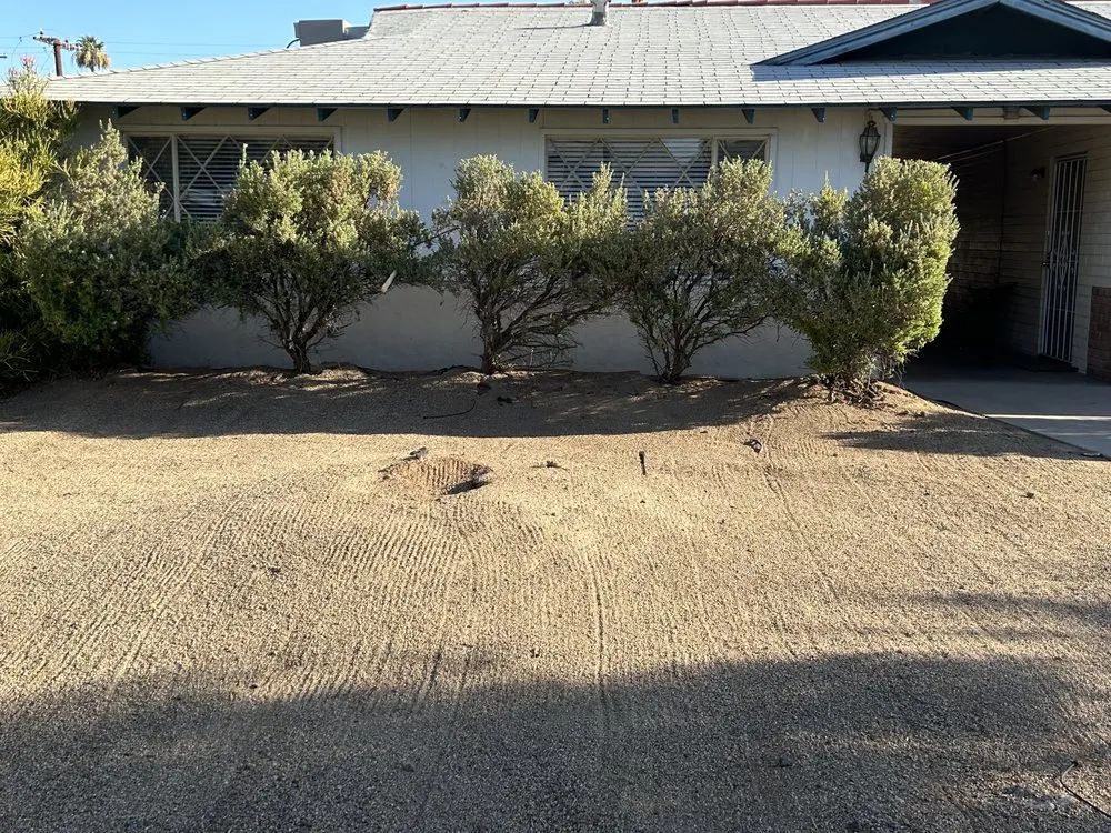 Expert landscaping services in Avondale, AZ by G3 Landscaping