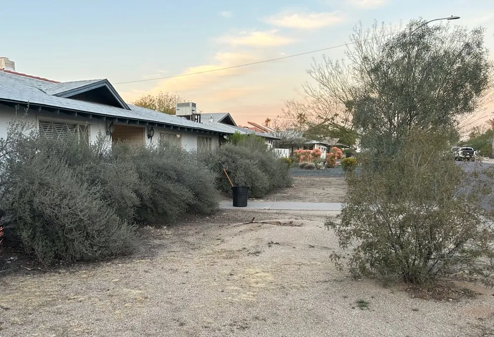 Trusted yard cleanup service in Avondale, AZ by G3 Landscaping