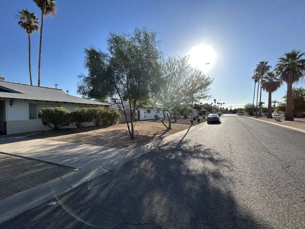 Expert yard cleanup service in Avondale, AZ - G3 Landscaping