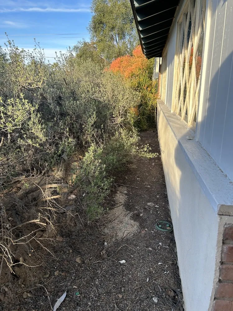 Expert landscape design near you across Avondale, AZ - G3 Landscaping