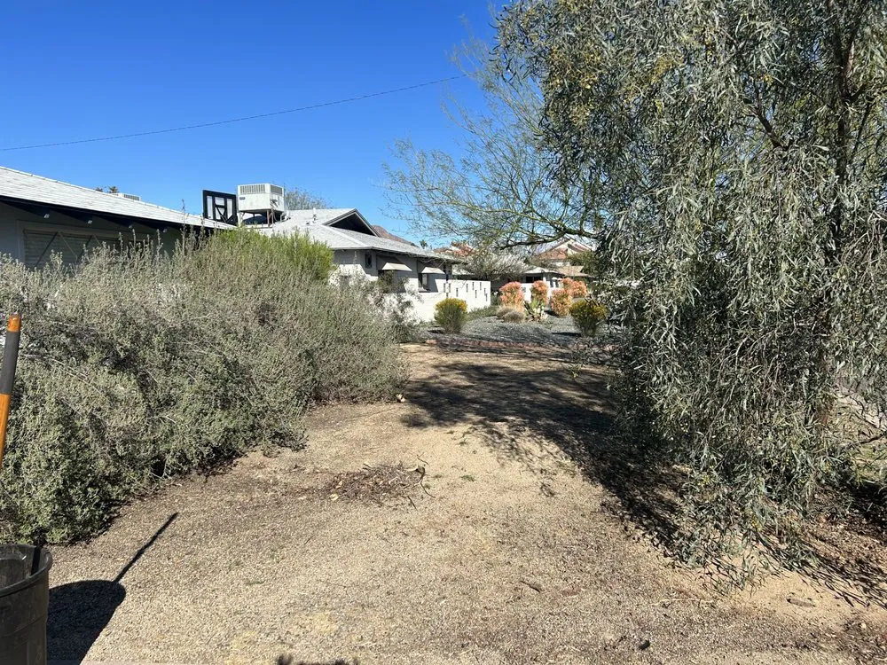 Trusted outdoor landscaping in Avondale, AZ by G3 Landscaping