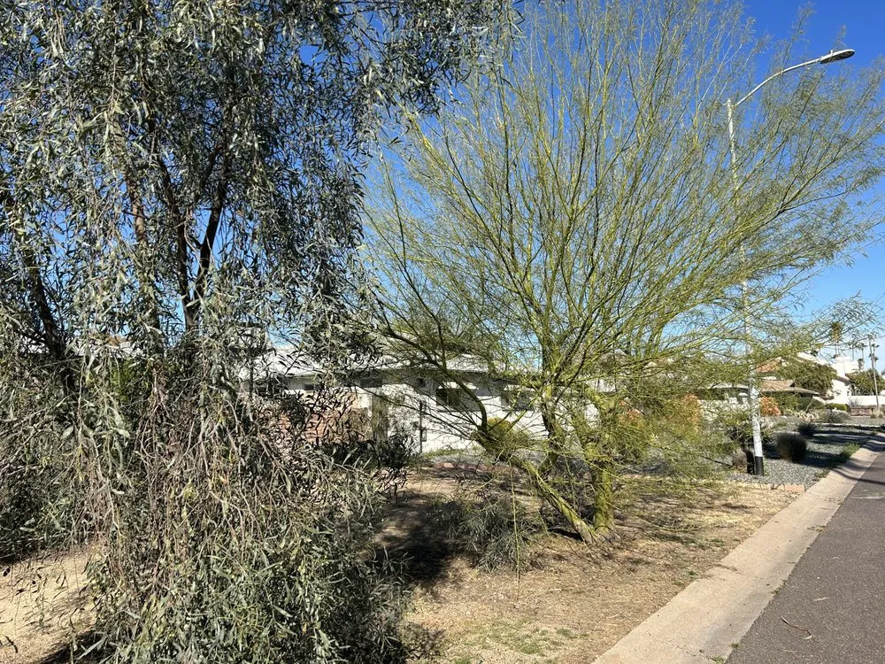 Local garden landscaping in Avondale, AZ - G3 Landscaping