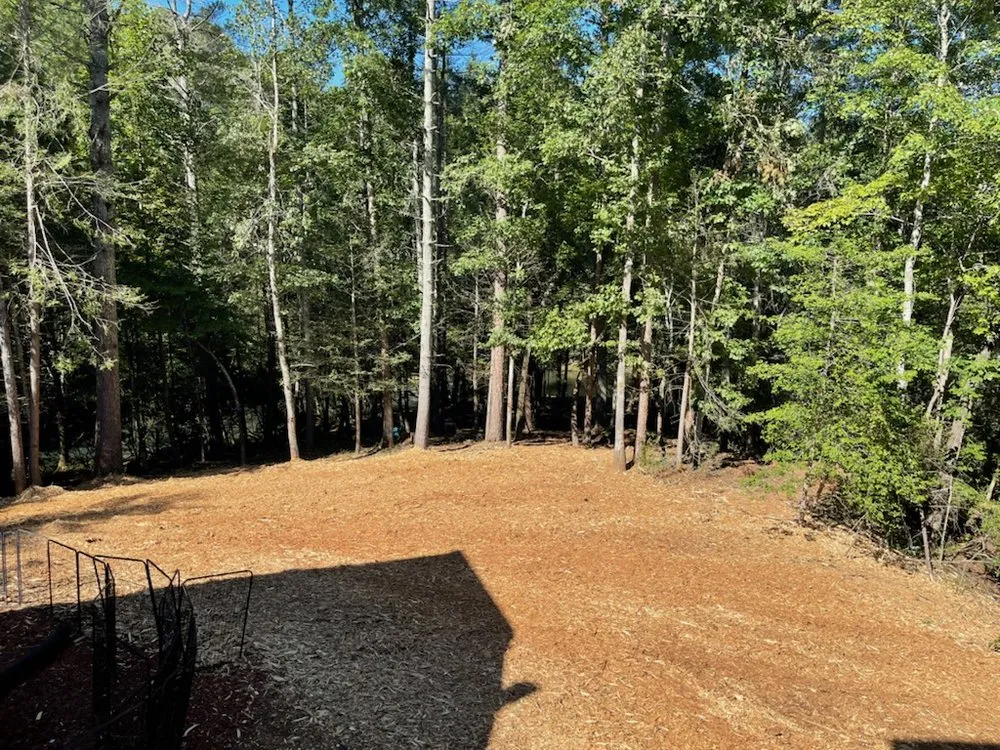 Trusted residential landscaping in Dahlonega, GA by GA Brush Busters