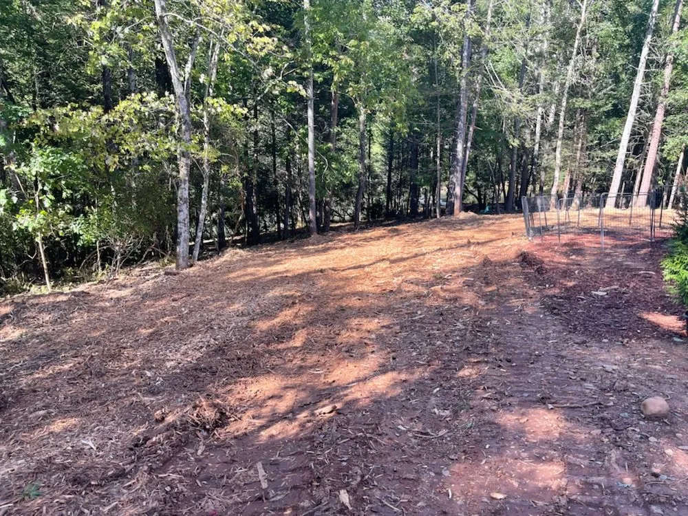 Expert lawn care service near you in Dahlonega, GA by GA Brush Busters