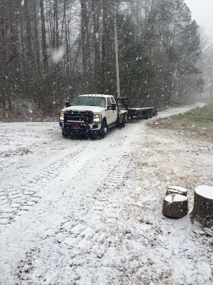 Custom yard cleanup service in Dahlonega, GA - GA Brush Busters