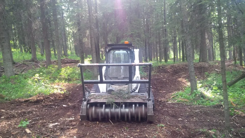 Expert landscape design for outdoor upgrades across Dahlonega, GA - GA Brush Busters