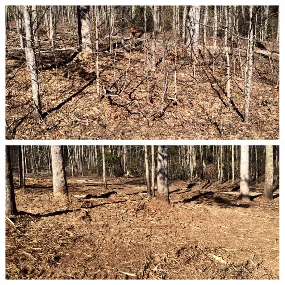 Top-rated lawn mowing service near you across Dahlonega, GA - GA Brush Busters