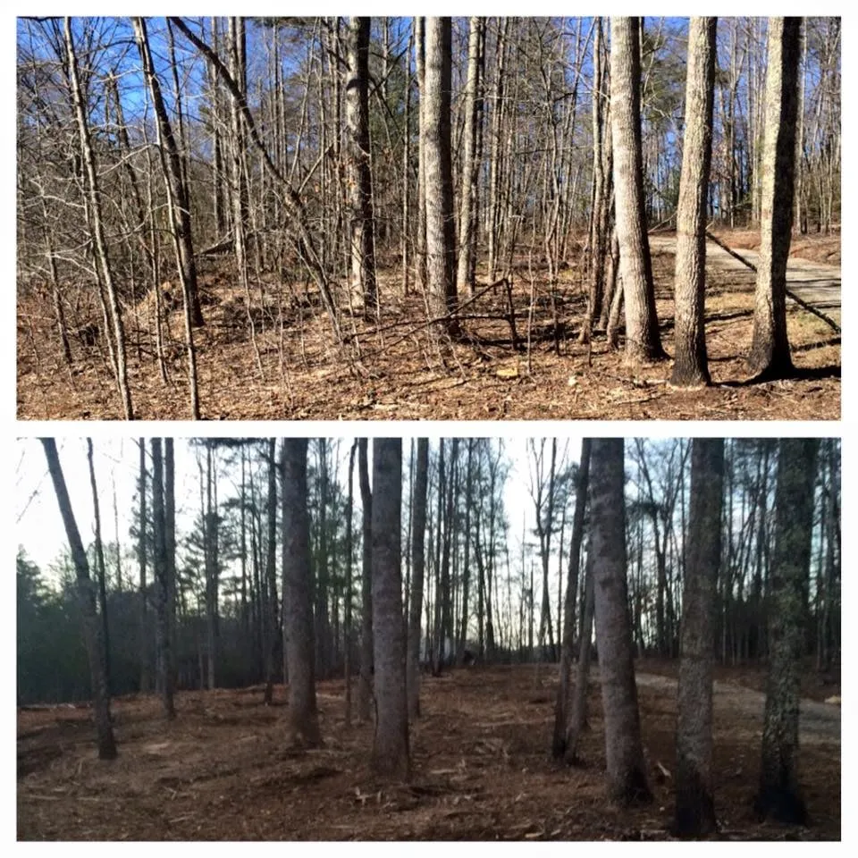 Expert yard cleanup service experts serving Dahlonega, GA - GA Brush Busters