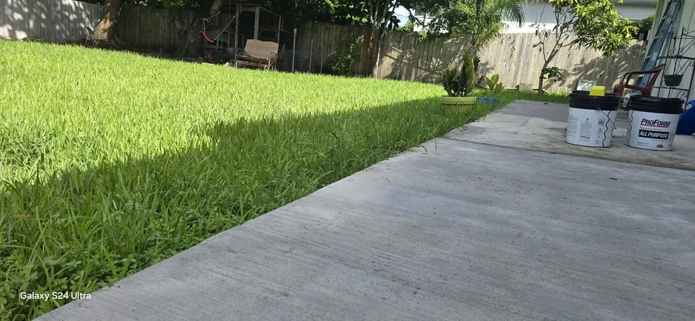 Trusted landscape installation in Miami, FL by G&A Green World