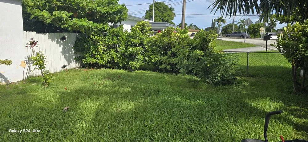 Professional landscape design in Miami, FL by G&A Green World