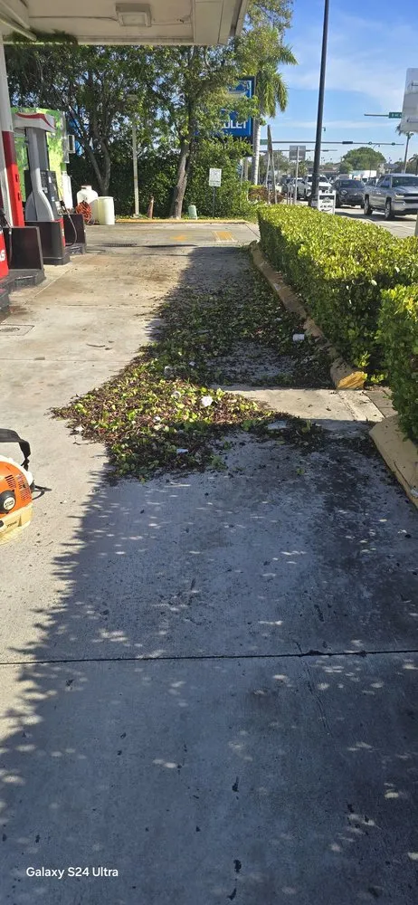 Professional landscaping services for beautiful yards in Miami, FL by G&A Green World