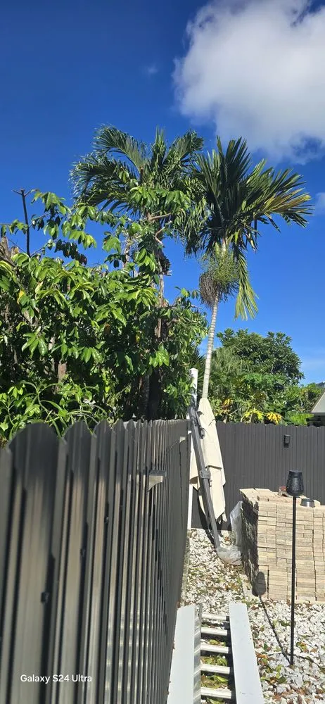 Professional residential landscaping experts serving Miami, FL - G&A Green World