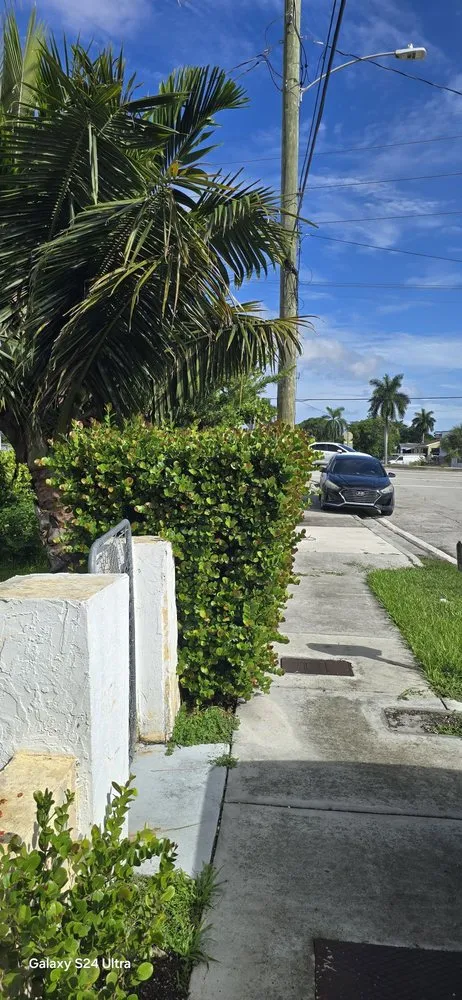 Reliable lawn care service for year-round maintenance across Miami, FL - G&A Green World