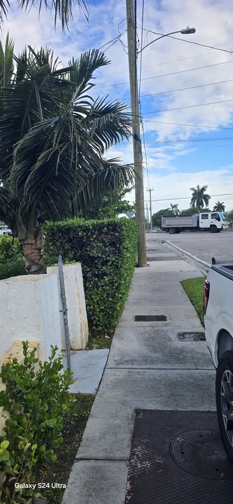 Custom landscape design in Miami, FL - G&A Green World