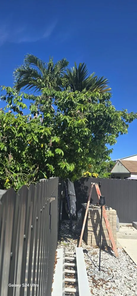 Trusted lawn mowing service in Miami, FL - G&A Green World